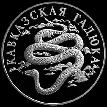 Монета «Кавказская гадюка», 1 рубль, 1999 — реверс