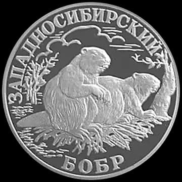 Монета «Западносибирский бобр», 1 рубль, 2001 — реверс