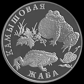Монета «Камышовая жаба», 1 рубль, 2004 — реверс