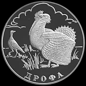 Монета «Дрофа», 1 рубль, 2004 — реверс