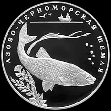 Монета «Азово-черноморская шемая», 2 рубля, 2008 — реверс