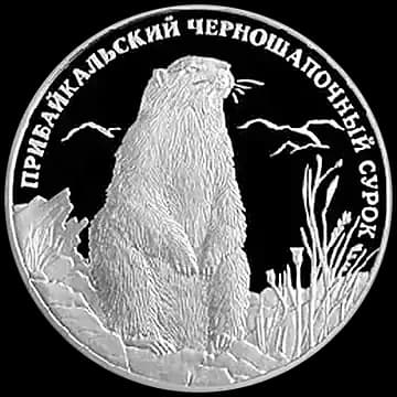 Монета «Прибайкальский черношапочный сурок», 2 рубля, 2008 — реверс