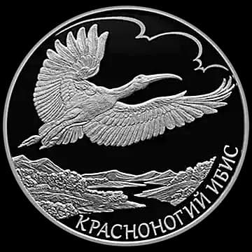Красноногий ибис
