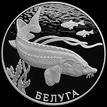 Белуга