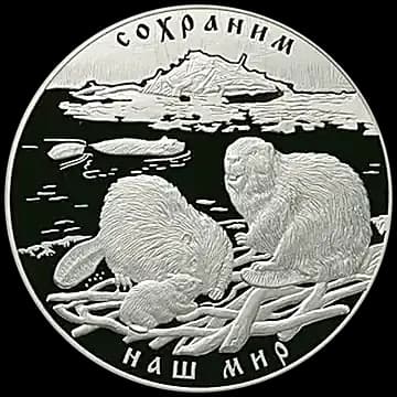 Речной бобр
