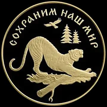Амурский тигр