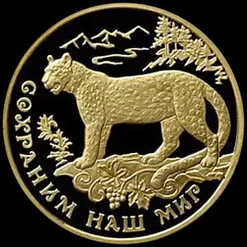 Переднеазиатский леопард