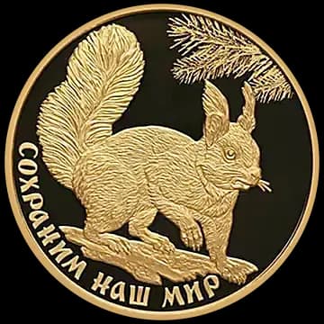 Белка обыкновенная