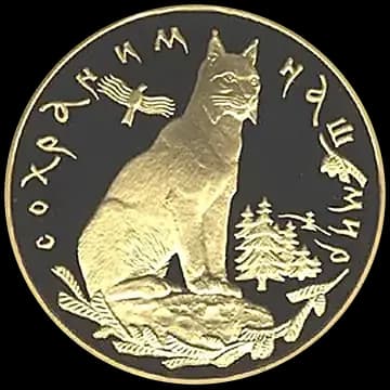 Рысь