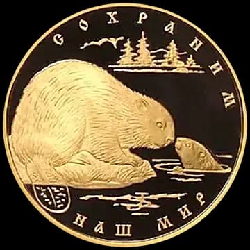 Речной бобр