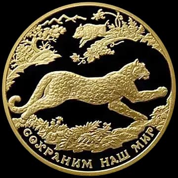 Переднеазиатский леопард