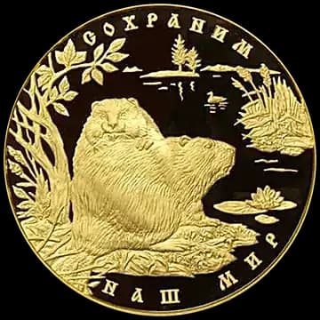 Монета «Речной бобр», 10 000 рублей, 2008 — реверс