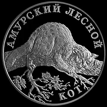 Монета «Амурский лесной кот», 1 рубль, 2004 — реверс