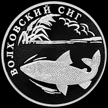 Монета «Волховский сиг», 1 рубль, 2005 — реверс