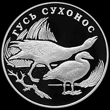 Монета «Гусь сухонос», 1 рубль, 2006 — реверс