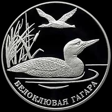 Монета «Белоклювая гагара», 2 рубля, 2012 — реверс
