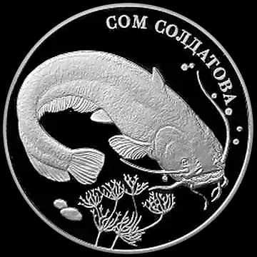 Монета «Сом Солдатова», 2 рубля, 2014 — реверс