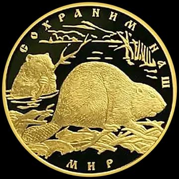 Монета «Речной бобр», 100 рублей, 2008 — реверс